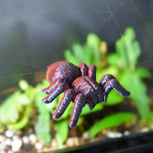 Tarantula