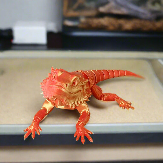 Bearded Dragon